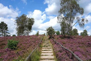 Leusden (Utrecht) Training Incompany Maatwerk, Coaching, Workshops